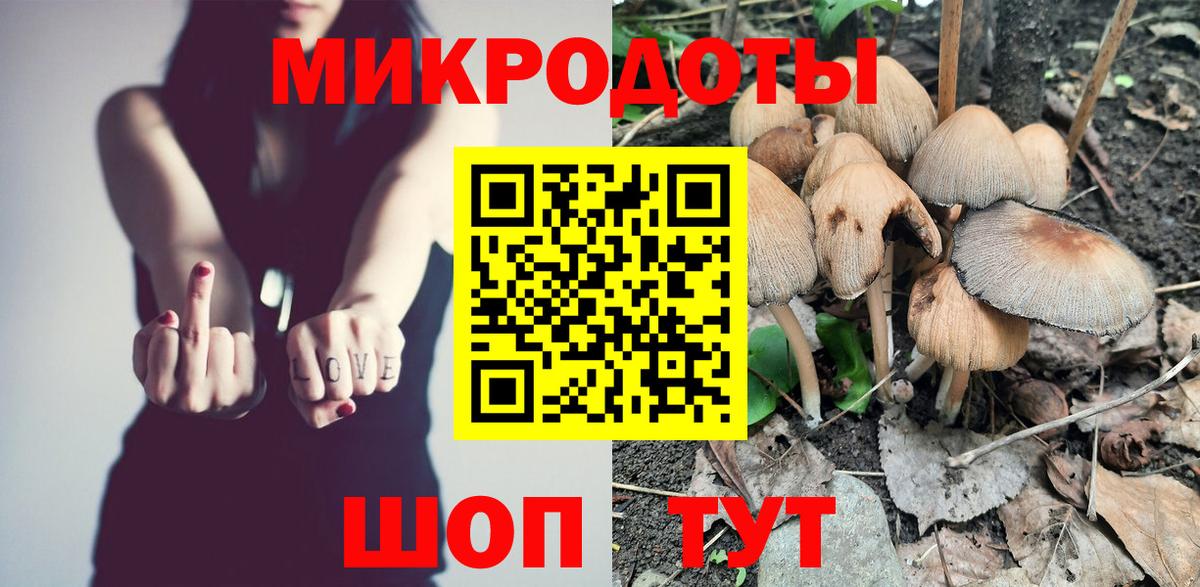 Новошахтинск  Галлюциногенные грибы Psilocybe  Вход с VPN 